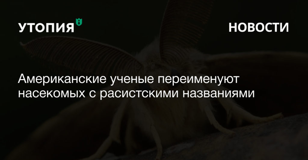 Американские ученые переименуют насекомых с расистскими названиями